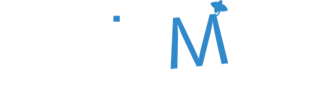 BLUEMINT MEDIA PRODUCTION COMPANY