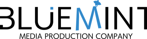 BLUEMINT MEDIA PRODUCTION COMPANY